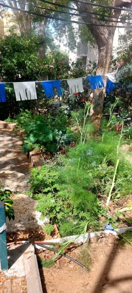 מתנדבי ליונס רמת גן עובדים עם הילדים בגינה הקהילתית